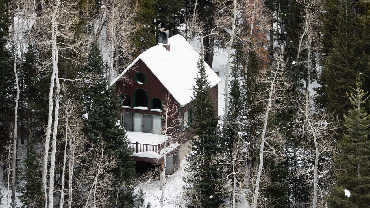 Обои дом, лес, снег, вид сверху, уединение