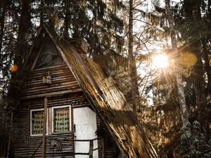 Превью обои дом, лес, солнечный свет, деревья, блики, природа