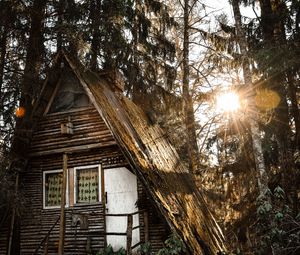 Превью обои дом, лес, солнечный свет, деревья, блики, природа