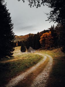 Превью обои дом, лес, тропинка, осень