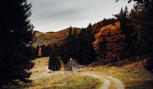 Превью обои дом, лес, тропинка, осень