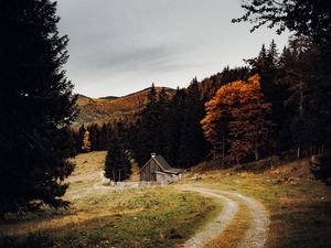Превью обои дом, лес, тропинка, осень