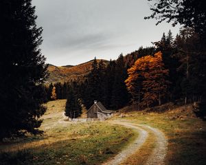 Превью обои дом, лес, тропинка, осень