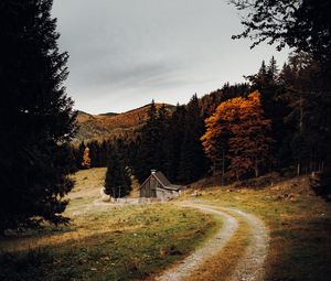 Превью обои дом, лес, тропинка, осень