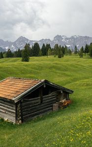 Превью обои дом, луг, деревья, горы, природа