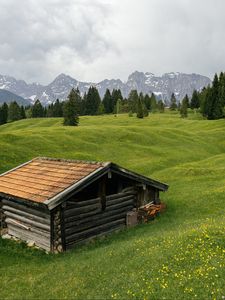 Превью обои дом, луг, деревья, горы, природа
