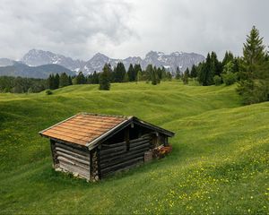 Превью обои дом, луг, деревья, горы, природа