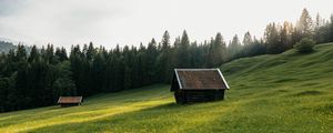 Превью обои дом, луг, поле, цветы, деревья, природа