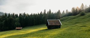 Превью обои дом, луг, поле, цветы, деревья, природа