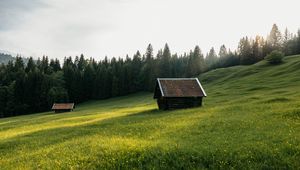 Превью обои дом, луг, поле, цветы, деревья, природа