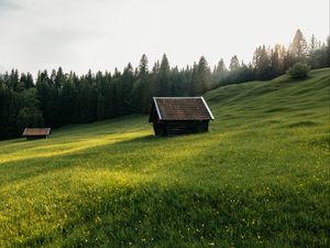 Превью обои дом, луг, поле, цветы, деревья, природа