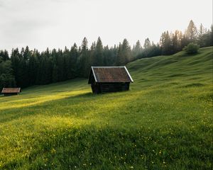 Превью обои дом, луг, поле, цветы, деревья, природа
