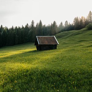 Превью обои дом, луг, поле, цветы, деревья, природа