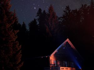 Превью обои дом, ночь, темный, деревья, звездное небо