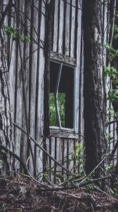 Превью обои дом, окно, деревья