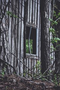 Превью обои дом, окно, деревья