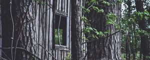 Превью обои дом, окно, деревья