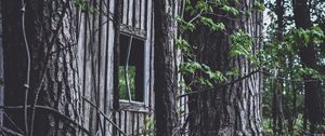 Превью обои дом, окно, деревья