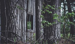 Превью обои дом, окно, деревья