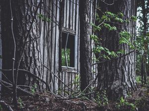 Превью обои дом, окно, деревья