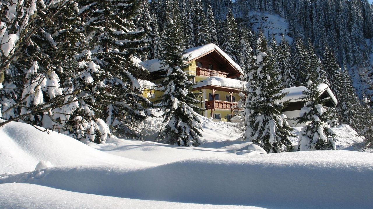 Обои дом, отель, ели, хвойные, сугробы, снег, деревья