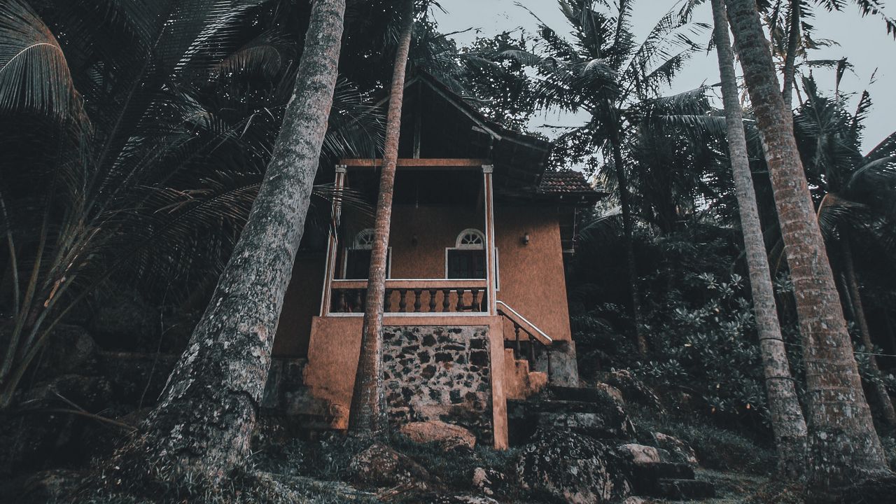 Обои дом, пальмы, тропики, природа