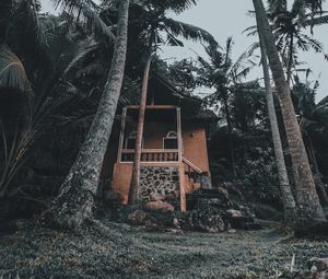Превью обои дом, пальмы, тропики, природа