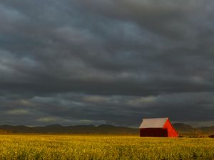 Превью обои дом, поле, природа, пейзаж