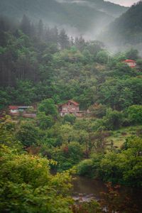 Превью обои дом, река, лес, туман