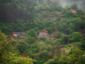 Превью обои дом, река, лес, туман