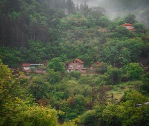 Превью обои дом, река, лес, туман