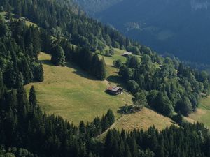 Превью обои дом, склон, деревья, пейзаж, горы, природа