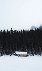 Превью обои дом, снег, деревья, гора, зима, природа