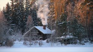 Превью обои дом, снег, зима, деревья, дым, природа