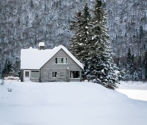 Превью обои дом, снег, зима, лес, природа