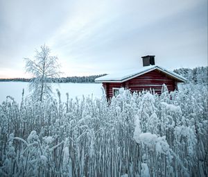 Превью обои дом, снег, зима, природа