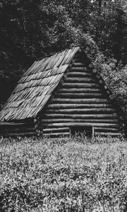 Превью обои дом, трава, деревья, природа, черно-белый