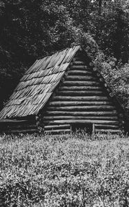 Превью обои дом, трава, деревья, природа, черно-белый