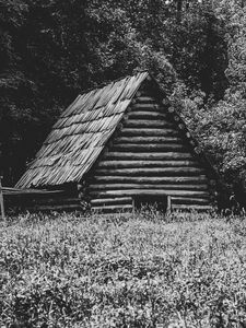 Превью обои дом, трава, деревья, природа, черно-белый
