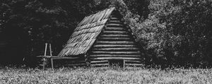 Превью обои дом, трава, деревья, природа, черно-белый