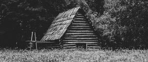 Превью обои дом, трава, деревья, природа, черно-белый