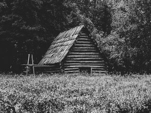 Превью обои дом, трава, деревья, природа, черно-белый
