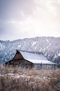 Превью обои дом, трава, снег, деревья, лес, зима