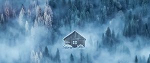 Превью обои дом, туман, снег, зима, лес