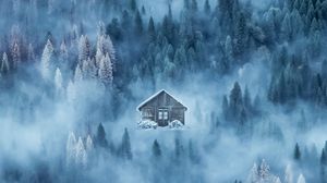 Превью обои дом, туман, снег, зима, лес