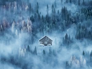Превью обои дом, туман, снег, зима, лес