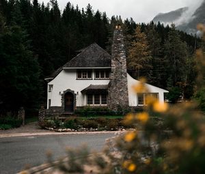 Превью обои дом, здание, деревья, лес, природа