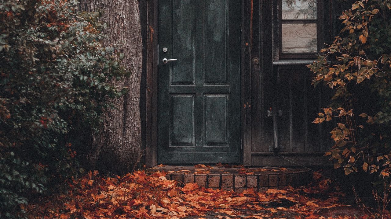 Обои дом, здание, дерево, листва, дверь