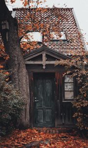 Превью обои дом, здание, дерево, листва, дверь