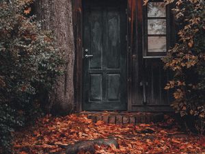 Превью обои дом, здание, дерево, листва, дверь